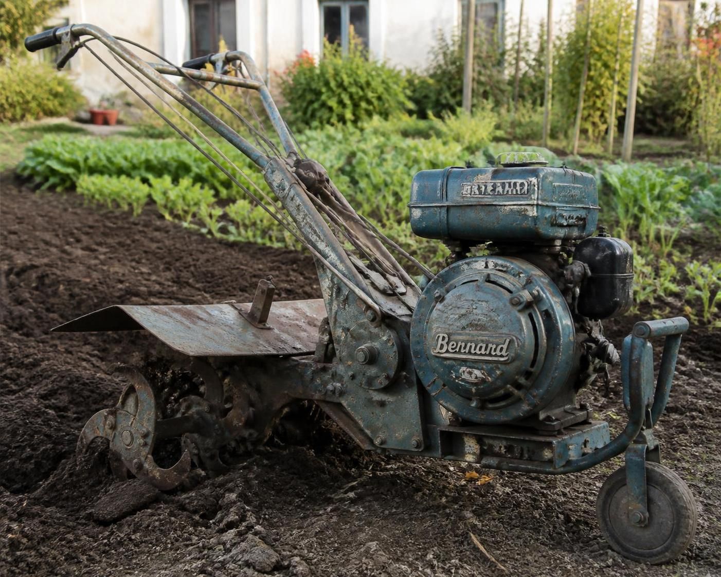 découvrez pourquoi le motoculteur moteur bernard est le choix préféré des jardiniers exigeants grâce à sa puissance, sa fiabilité et sa facilité d'utilisation pour un travail du sol optimal.